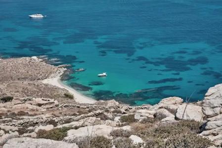 Royal Myconian - Leadings of the World - 15