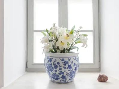 Hydroussa Hydra - 14