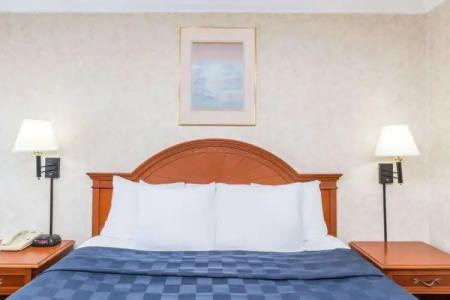 Days Inn by Wyndham Los Angeles LAX/VeniceBch/Marina DelRay - 5