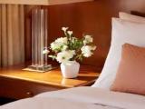 Standard Single room with mountain view