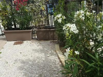 Residence Ducale - 14