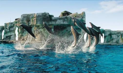 Residence Ducale - 20