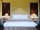 Deluxe Double room with mountain view