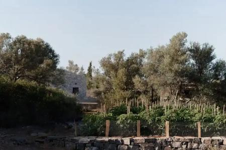 Village Heights Resort - 44