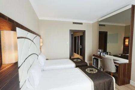 The Grand Mira Business - 12