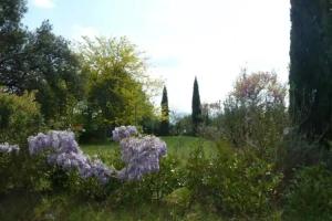 Guest House «Al Vecchio Leccio», Pistoia