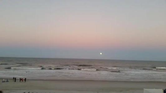 Driftwood Beach Motel - 16