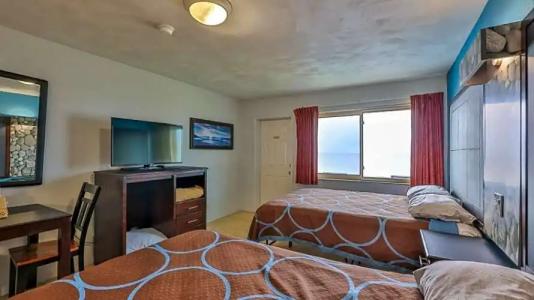 Driftwood Beach Motel - 111