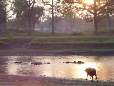 Sapana Village Lodge - 132