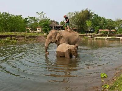 Sapana Village Lodge - 29