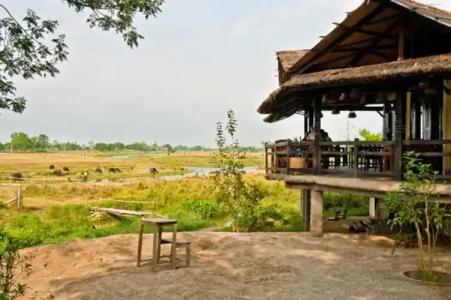 Sapana Village Lodge - 85