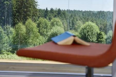 Schwarzwald Lodge Rothaus - 37