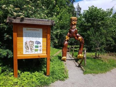 Schwarzwald Lodge Rothaus - 13