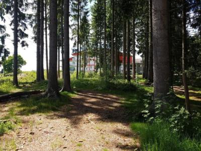 Schwarzwald Lodge Rothaus - 23