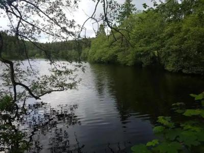 Schwarzwald Lodge Rothaus - 16