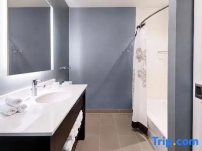 Residence Inn by Marriott Chicago Downtown/Loop - 83