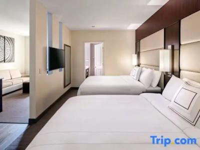 Residence Inn by Marriott Chicago Downtown/Loop - 80