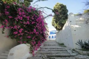 Bed & Breakfast «Dar Said», Sidi Bou Said