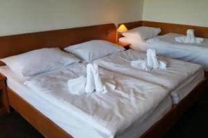 Zelezna Ruda - Hotels