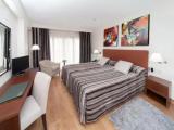 Standard Attic room