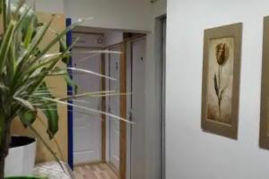 Bed & Breakfast «Prenoćište Zrenjanin», Zrenyanin