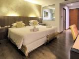 Deluxe room with garden view