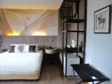 Deluxe room with mountain view