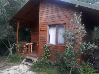 Bungalow Halil - 41