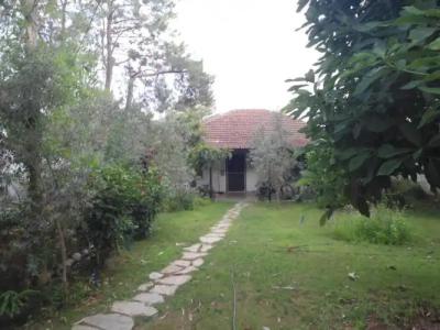 Bungalow Halil - 31