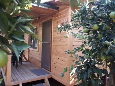 Bungalow Halil - 47