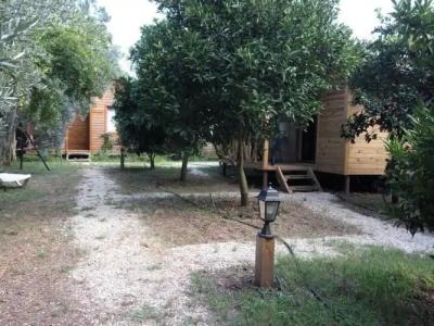 Bungalow Halil - 3