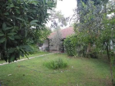 Bungalow Halil - 33