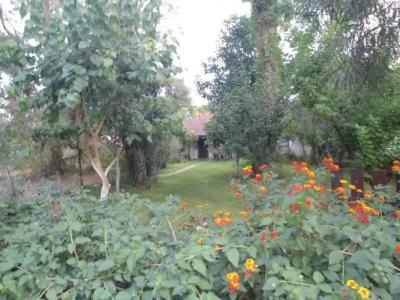 Bungalow Halil - 32