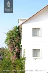 Koranaree Courtyard Boutique - 25