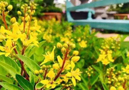 Koranaree Courtyard Boutique - 16