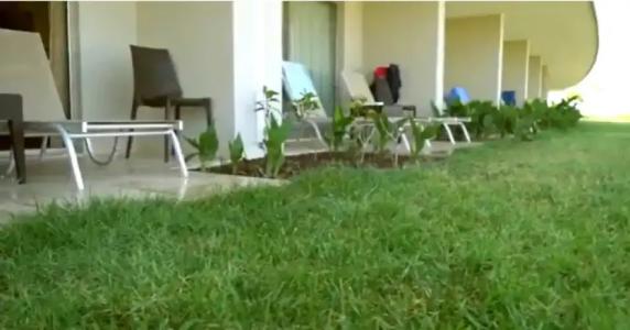 Aquasis De Luxe Resort & SPA - Ultra All Inclusive - 111