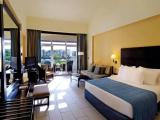 Deluxe Double room with pool view