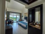 Superior Double room with garden view