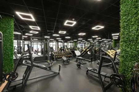 Grand Velingrad - 31