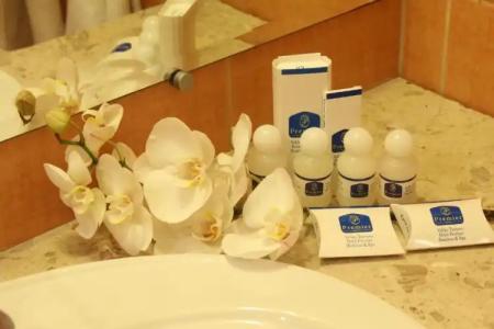 Business Premier - 47