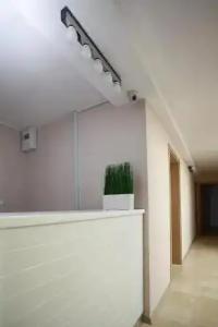 Executive Rooms and Suites Play - 10