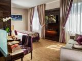 Viola Executive Double room