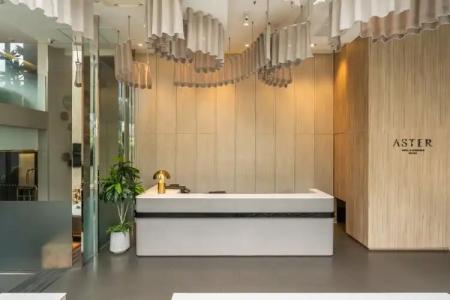 Aster and Residence by At Mind - 1