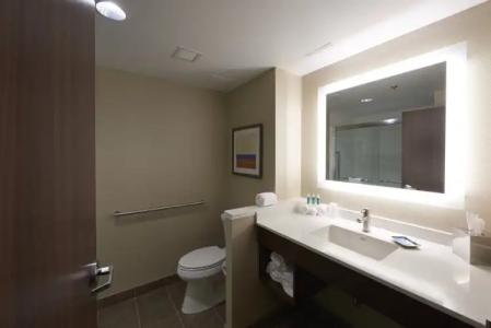 Holiday Inn Express & Suites St. John's Airport, an IHG - 4