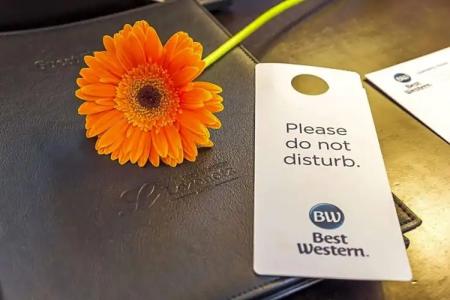 Best Western Lozenetz - 129
