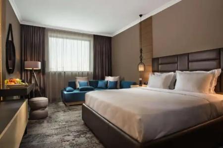 Expo Sofia - Free Arrival shuttle bus - Free Parking - Free Compliments - Free Wi-Fi - 104