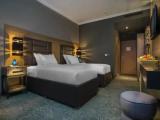 Superior Business Double room