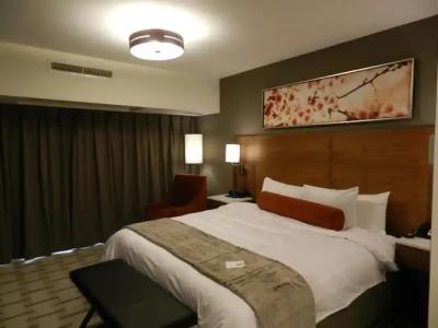 Radisson & Conference Center Calgary Airport East - 16