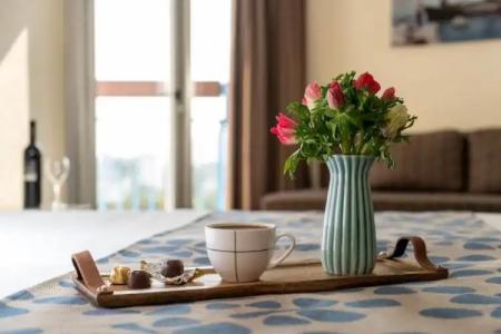 Leonardo Club Tiberias - Все включено - 33