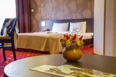 Villa Boyana - Free Parking - 24